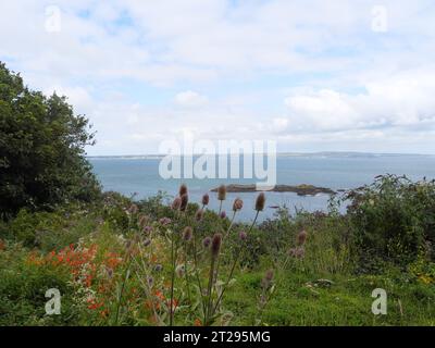 Vue de Moushole à la mer bleue de la côte de Cornouailles et Saint Michael's Mount en Cornouailles Angleterre Banque D'Images