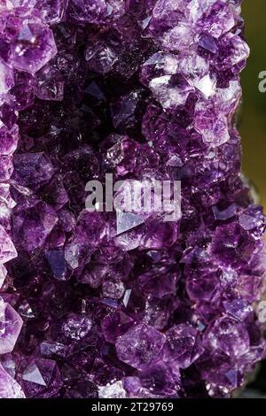 Belle grappe de cristal améthys violette Banque D'Images