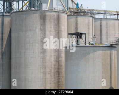 Usine d'alimentation animale. Silos agricoles, silos de stockage de céréales. Industrie agricole. Agro-industrie rurale. Innovation en matière de stockage des céréales. Silos agricoles Banque D'Images