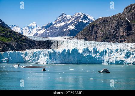 Margerie Glacier est un glacier de marée de 21 km de long situé dans Glacier Bay, Alaska, États-Unis, dans le parc national et réserve de Glacier Bay. Banque D'Images