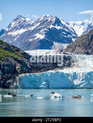 Margerie Glacier est un glacier de marée de 21 km de long situé dans Glacier Bay, Alaska, États-Unis, dans le parc national et réserve de Glacier Bay. Banque D'Images