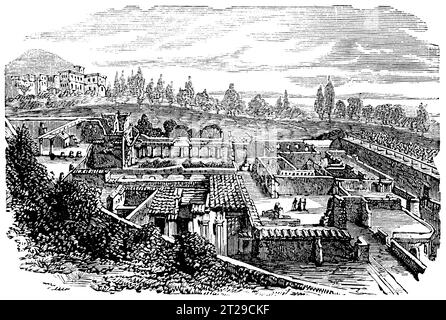 Restauré numériquement à partir de 'The Condensed American Encyclopedia' publié en 1882. Banque D'Images