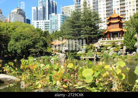 Le jardin chinois de l'amitié à Sydney, Australie Banque D'Images