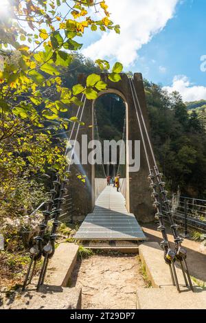 Détail de la passerelle Holtzarte, Larrau. Dans la forêt ou jungle d'Irati, au nord de Navarre en Espagne et dans les Pyrénées-Atlantiques de France Banque D'Images