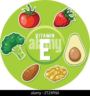 Apprenez-en plus sur les aliments riches en vitamine E dans cette affiche éducative Illustration de Vecteur
