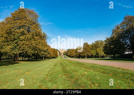 Une vue sur le Windsor long Walk vers le château de Windsor, un chemin bordé d'arbres à travers un parc verdoyant. Banque D'Images