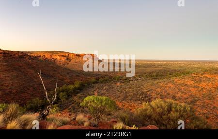 Une vue depuis le mur nord de la Rim Walk à Kings Canyon (Watarrka) NT après une montée de 500 marches, jusqu'aux personnes de taille fourmi et aux véhicules ci-dessous Banque D'Images