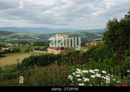 Arbustes, fleurs et une petite parcelle cultivant des légumes sur la colline au-dessus de Bagnols, les champs, les vignes, les collines et les murs du château français ci-dessous. Banque D'Images