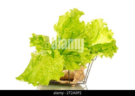 Salade verte fraîche dans le panier, macro, isolé sur fond blanc. Banque D'Images