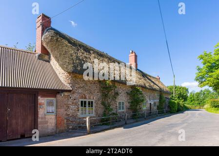 Un chalet au toit de chaume à côté d'une ruelle de campagne dans la vallée de Culm dans le paysage national de Blackdown Hills North Devon Coast près de Culmstock, Devon, Angleterre. Banque D'Images