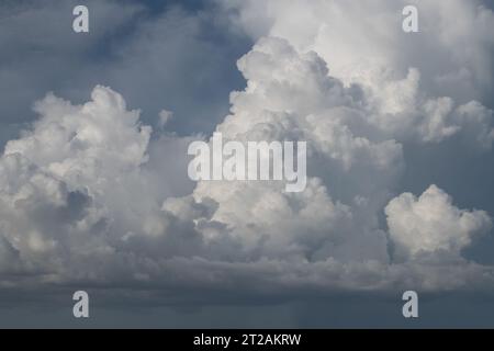 . La mission ALOFT, Airborne Lightning Observatory for Fly’s Eye Simulator et Terrestrial rayons gamma flash, est une collaboration entre la NASA et l’Université de Bergen, Norvège l’avion ER-2 du NASA Armstrong Flight Research Center vole juste au-dessus de la hauteur des nuages d’orage au-dessus des côtes floridiennes et caribéennes pour recueillir des données sur les éclairs et les éclairs gamma terrestres. les scientifiques s’attendent à recueillir des données plus précises que jamais pour faire avancer l’étude des rayonnements de haute énergie émissions dues aux orages. Banque D'Images