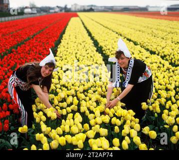 Pays-Bas. Lisse. Deux jeunes femmes en robe traditionnelle cueillant des tulipes. Banque D'Images