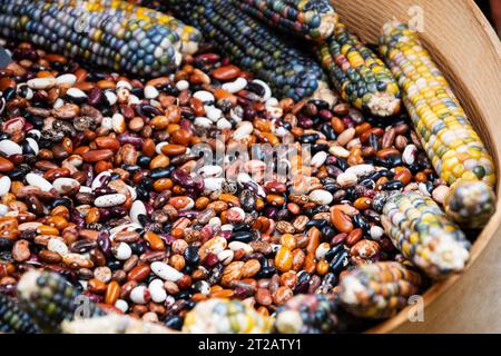 Maïs et haricots bio multicolores dans un bol en bois au marché fermier local. Fond naturel d'inspiration de cuisson des aliments. Mise au point sélective. Banque D'Images