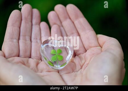 Ein vierblaettriges Kleeblatt eingeschlossen in einem Glasherz liegt auf Haenden Foto vom 13.10.2023. DAS Leben wird von Zufaellen beeinflusst - zum Guten wie zum Schlechten. Lebenshilfe-Experten meinen, man koenne sich das raetselhafte Phaenomen zum Helfer machen und als kreatives Werkzeug und chance nutzen. DAS Zauberwort heisst Serendipitaet siehe epd-Feature vom 19.10.2023 USAGE ÉDITORIAL SEULEMENT *** Un trèfle à quatre feuilles enfermé dans un coeur de verre se trouve sur les mains photo de 13 10 2023 la vie est influencée par des coïncidences pour le meilleur ou pour le pire aide la vie les experts croient que l'on peut rendre la perplexe Banque D'Images