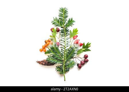 Forme d'un arbre de Noël à partir de branches naturelles à feuilles persistantes, firethorn, rosiers et fruits d'aubépine isolés avec de petites ombres sur un fond blanc, Banque D'Images