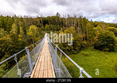 Randonnée automnale dans le parc naturel Hohe Schrecke à Kyffhäuser - Thuringe - Allemagne Banque D'Images