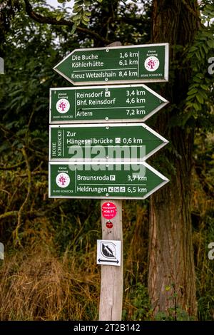 Randonnée automnale dans le parc naturel Hohe Schrecke à Kyffhäuser - Thuringe - Allemagne Banque D'Images