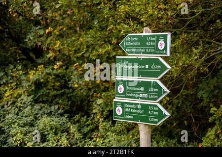 Randonnée automnale dans le parc naturel Hohe Schrecke à Kyffhäuser - Thuringe - Allemagne Banque D'Images