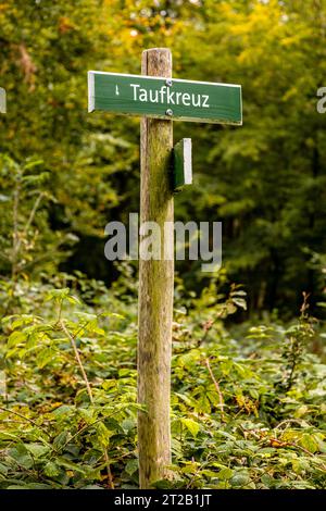 Randonnée automnale dans le parc naturel Hohe Schrecke à Kyffhäuser - Thuringe - Allemagne Banque D'Images