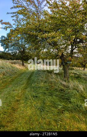 Randonnée automnale dans le parc naturel Hohe Schrecke à Kyffhäuser - Thuringe - Allemagne Banque D'Images