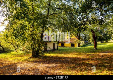 Randonnée automnale dans le parc naturel Hohe Schrecke à Kyffhäuser - Thuringe - Allemagne Banque D'Images