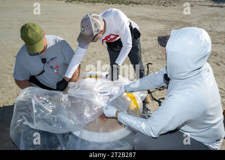 Les équipes de récupération effectuent des répétitions sur le terrain le 29 août 2023, à Utah test and Training Range, en préparation de la récupération des capsules de retour d'échantillons OSIRIS-Rex. L’échantillon d’astéroïde Bennu, prélevé en octobre 2020, retournera sur Terre le 24 septembre 2023, atterrissant sous parachute. Banque D'Images