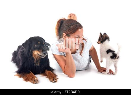 Femme, Hovawart de race pure et chien papillon devant fond blanc Banque D'Images