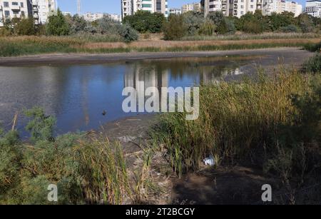 Lac sec, sol fissuré sec. Les vestiges, la dernière goutte d'eau, d'un lac marécageux presque sec dans un parc de la ville. Problèmes environnementaux, réchauffement climatique, l Banque D'Images