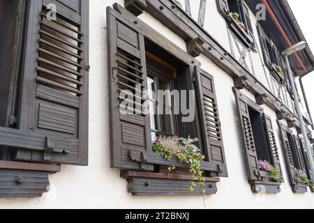 Fenêtre d'une maison avec volets et fleurs dans un village allemand. Gros plan. Banque D'Images