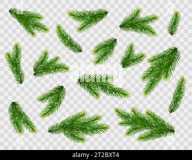 Branches de sapin de Noël. Pin, branches vertes d'épicéa isolées sur fond transparent. Décorations de Noël. Illustration vectorielle Illustration de Vecteur