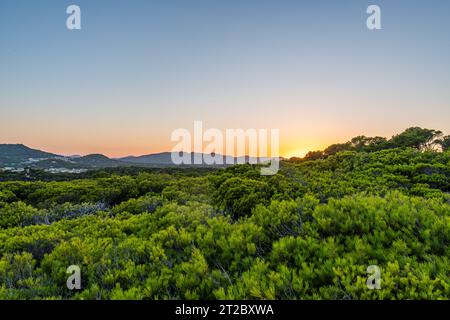 Coucher de soleil dans une forêt sauvage près de Christmafry's, une zone de randonnée à cala ratjada sur l'île de majorque, en espagne Banque D'Images