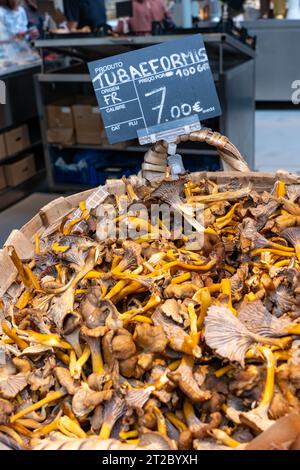 Panier de champignons sauvages frais à vendre dans un marché à Porto, Portugal Banque D'Images