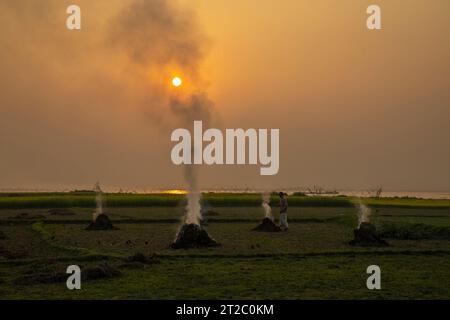 Incinération des déchets agricoles - smog et pollution. Émissions nocives provenant de la combustion du foin et de la paille dans les champs agricoles. Chandpur, Bangladesh Banque D'Images