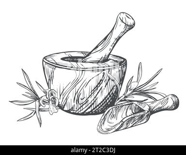 Romarin, mortier en bois pour moudre les herbes, cuillère à mesurer. Illustration vectorielle d'herbes aromatiques, d'épices. Croquis à la main en technique de gravure. Separa Illustration de Vecteur