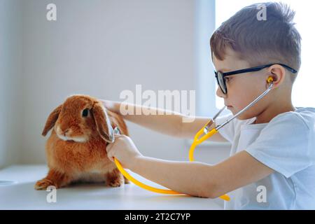 mignon petit garçon jouant vétérinaire stethoscoping un lapin. Photo de haute qualité Banque D'Images