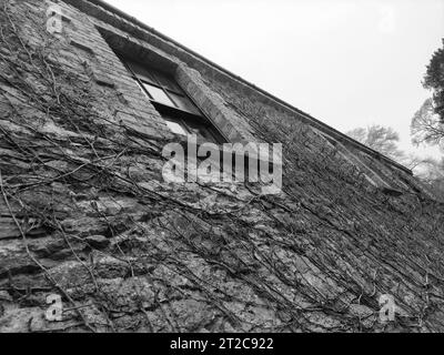 Ancien mur de maison celtique, château de Blarney en Irlande, ancienne forteresse celtique Banque D'Images