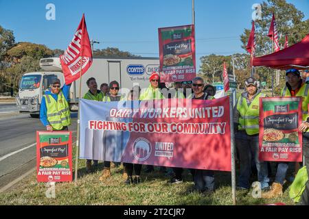 19 octobre 2023 Stanhope Victoria Australie. Factory Dairy Workers transporte des chauffeurs de camions-citernes de lait en grève de meilleurs salaires sur plusieurs sites Banque D'Images