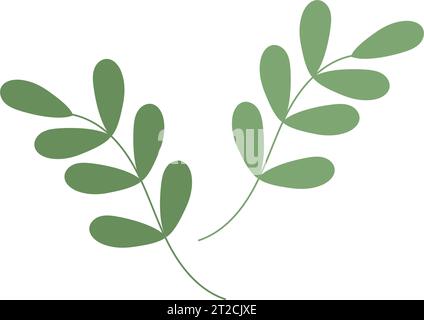 Lot de 2 brindilles printanières abstraites avec de petites feuilles dans des tons verts à la mode. Eléments de conception isolés. Vecteur pour cartes de voeux ou d'invitation, affiches, bannières, panneaux d'affichage, étiquettes et autres utilisations différentes Illustration de Vecteur