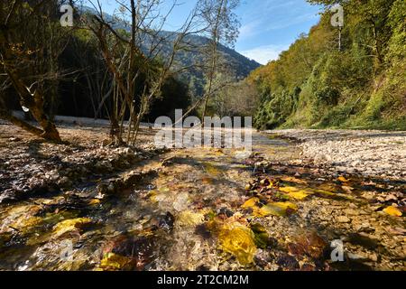Bolu, Turquie - octobre 15 2023 : vue depuis le parc naturel du lac Suluklu qui signifie lac des sangsues, avec les feuilles d'automne sur le sol Banque D'Images