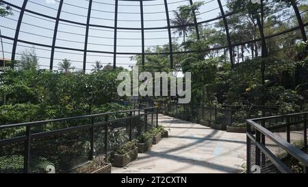 vue à l'intérieur d'un grand dôme volière et jardin botanique avec acier incurvé en forme de dôme Banque D'Images