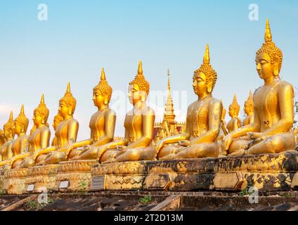 Rangées de belles, miniatures, sculptures d'or vibrantes de Bouddha, illuminées par le soleil couchant, alignées au sommet d'un mur en pente, à côté du temple, Banque D'Images