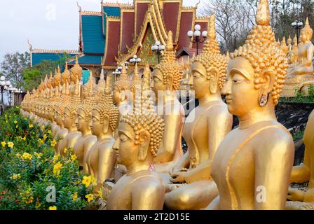 Rangées de belles, miniatures, sculptures d'or vibrantes de Bouddha, illuminées par le soleil couchant, alignées au sommet d'un mur en pente, à côté du temple, Banque D'Images