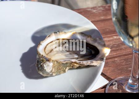 Manger des huîtres vivantes fraîches au café de la ferme dans le village ostréicole, bassin d'Arcachon, presqu'île du Cap Ferret, Bordeaux, France, gros plan Banque D'Images