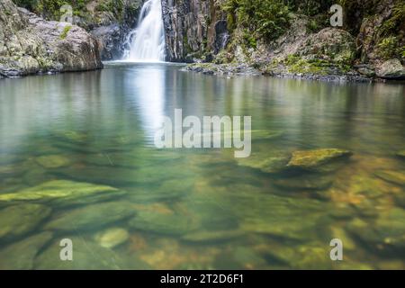 Crystal Cascades, Freshwater Creek, près de Cairns, Australie Banque D'Images