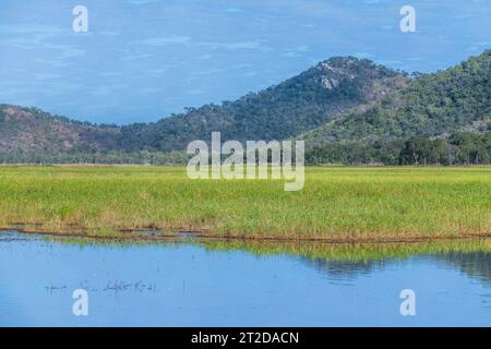 Parc de conservation commune Ville Townsville, QLD, Australie, Pallarenda Banque D'Images