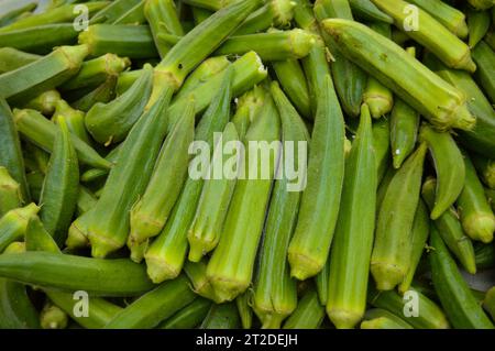 lady finger sur le marché. Stock de doigt de dames. Légumes okra. Légume vert. Beaucoup de doigts de dame. Gros de Lady Fingers. Banque D'Images
