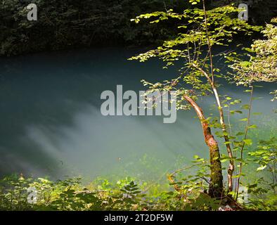 La rivière Kamacnik à Kamacnik Kanjon, comté de Primorje-Gorski Kotar, nord-ouest de la Croatie. Août Banque D'Images
