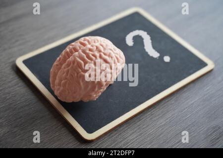 Modèle de cerveau humain sur un tableau noir avec un point d'interrogation. Connaissance, concept de pensée critique. Banque D'Images