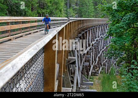 Traversez un pont sur trestle sur la piste Galloping Goose, parc régional Sooke Potholes Banque D'Images