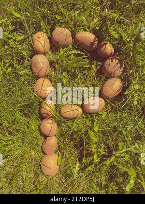 les pommes de terre dans la peau reposent sur l'herbe. Lettre P de kartovel, lettres comestibles sur la pelouse. produits du jardin. nourriture naturelle, produits végétaliens. Banque D'Images